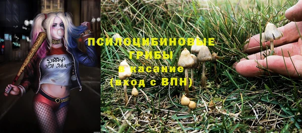 стафф Надым